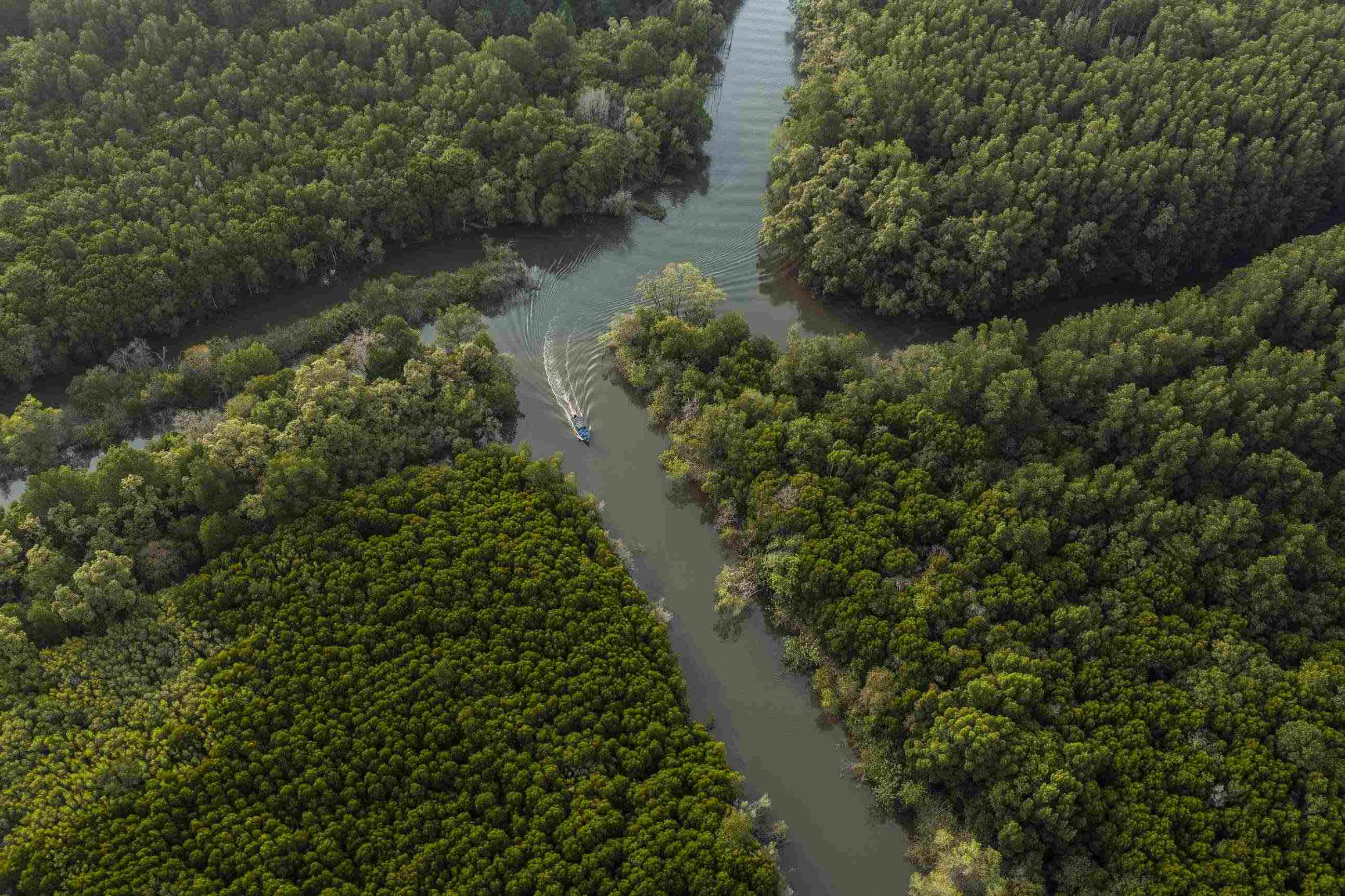 Freshwater Conservation